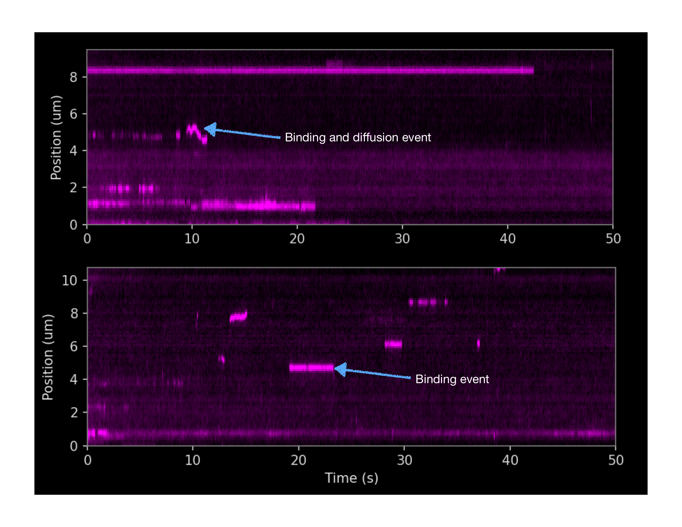 DNA curtains kymograph data