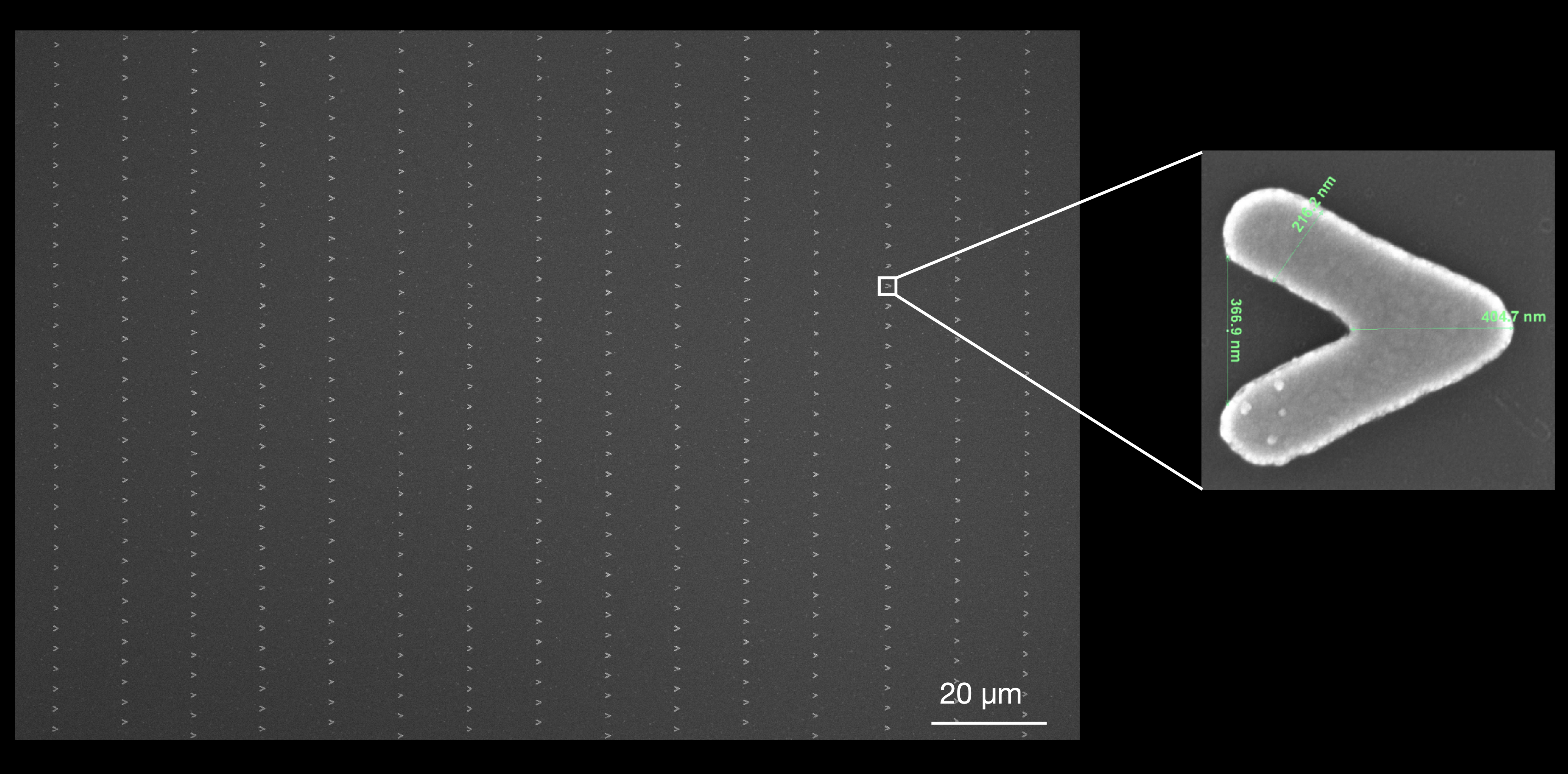 SEM image of V-shaped nanofabricated barriers